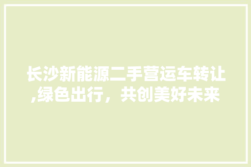 长沙新能源二手营运车转让,绿色出行，共创美好未来