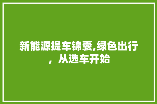 新能源提车锦囊,绿色出行，从选车开始