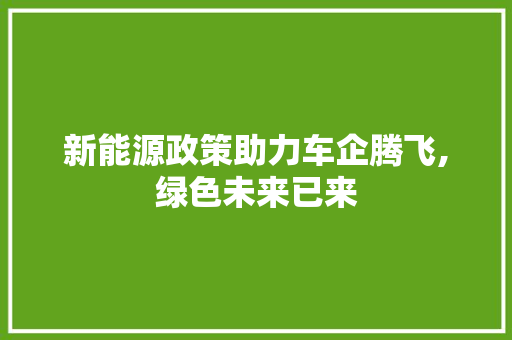 新能源政策助力车企腾飞,绿色未来已来
