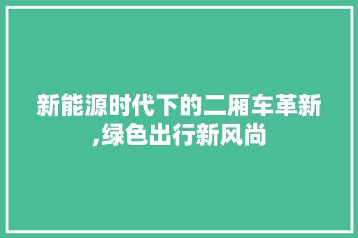 新能源时代下的二厢车革新,绿色出行新风尚