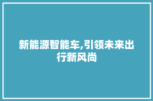 新能源智能车,引领未来出行新风尚