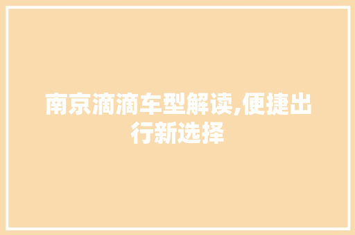 南京滴滴车型解读,便捷出行新选择