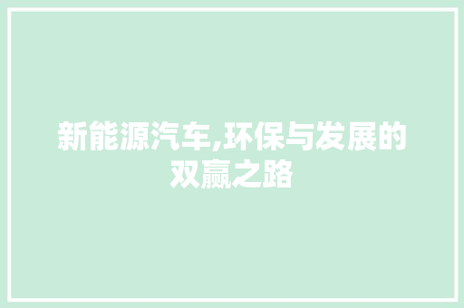 新能源汽车,环保与发展的双赢之路