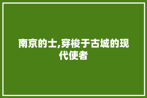 南京的士,穿梭于古城的现代使者