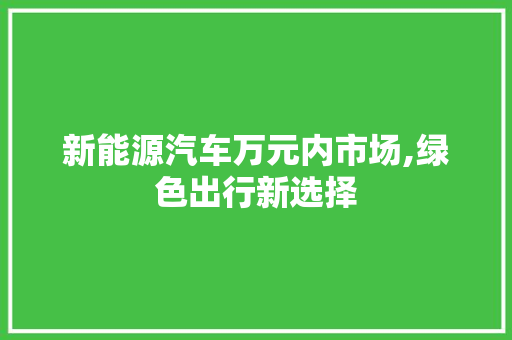 新能源汽车万元内市场,绿色出行新选择
