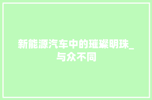 新能源汽车中的璀璨明珠_与众不同