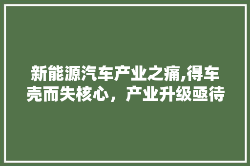 新能源汽车产业之痛,得车壳而失核心，产业升级亟待破局