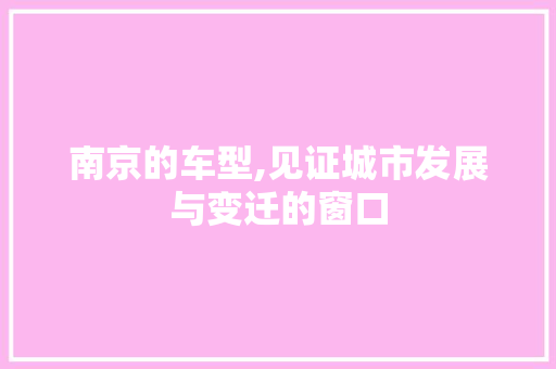 南京的车型,见证城市发展与变迁的窗口