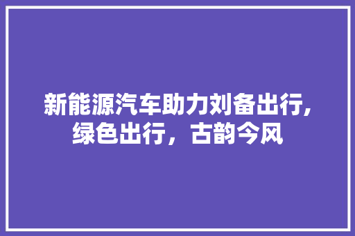 新能源汽车助力刘备出行,绿色出行，古韵今风