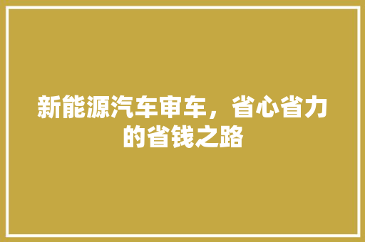 新能源汽车审车，省心省力的省钱之路