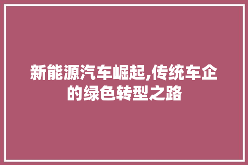 新能源汽车崛起,传统车企的绿色转型之路