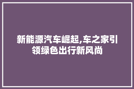 新能源汽车崛起,车之家引领绿色出行新风尚