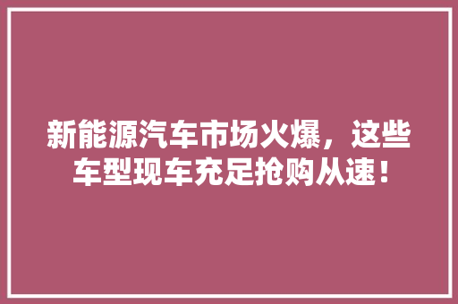 新能源汽车市场火爆，这些车型现车充足抢购从速！