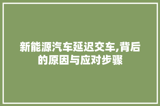 新能源汽车延迟交车,背后的原因与应对步骤
