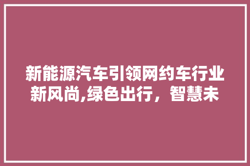 新能源汽车引领网约车行业新风尚,绿色出行，智慧未来