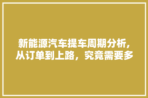 新能源汽车提车周期分析,从订单到上路，究竟需要多久