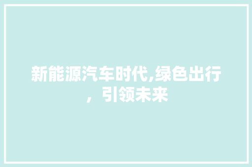 新能源汽车时代,绿色出行，引领未来