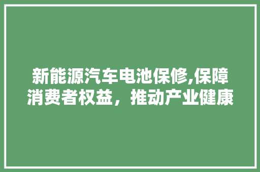 新能源汽车电池保修,保障消费者权益，推动产业健康发展