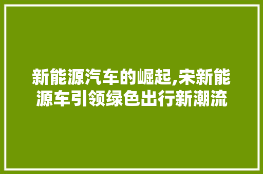 新能源汽车的崛起,宋新能源车引领绿色出行新潮流