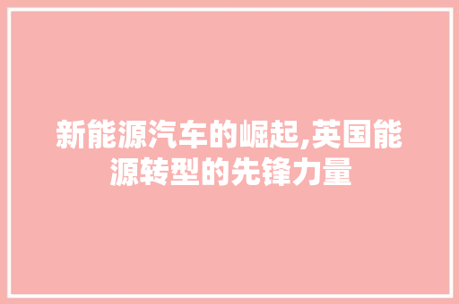 新能源汽车的崛起,英国能源转型的先锋力量