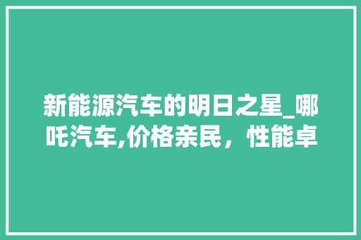 新能源汽车的明日之星_哪吒汽车,价格亲民，性能卓越