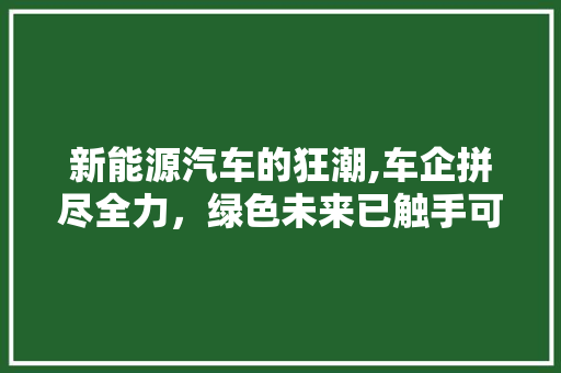 新能源汽车的狂潮,车企拼尽全力，绿色未来已触手可及