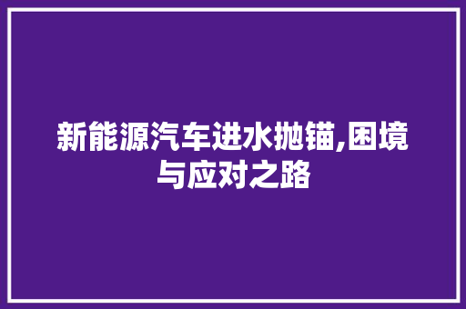 新能源汽车进水抛锚,困境与应对之路