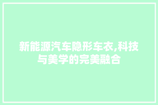 新能源汽车隐形车衣,科技与美学的完美融合
