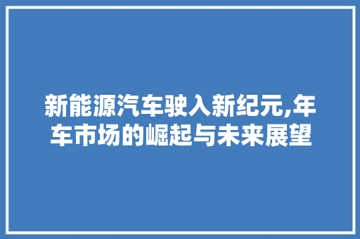 新能源汽车驶入新纪元,年车市场的崛起与未来展望