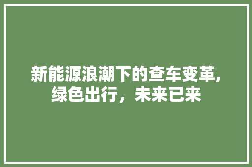 新能源浪潮下的查车变革,绿色出行，未来已来