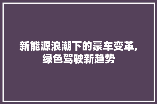 新能源浪潮下的豪车变革,绿色驾驶新趋势