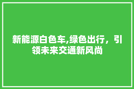 新能源白色车,绿色出行，引领未来交通新风尚