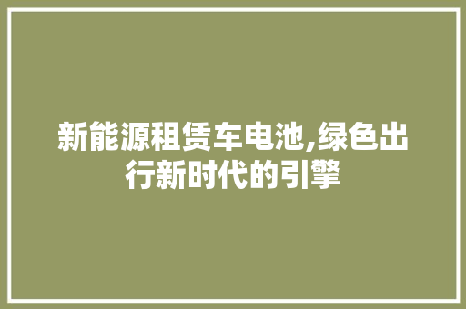 新能源租赁车电池,绿色出行新时代的引擎