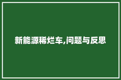 新能源稀烂车,问题与反思