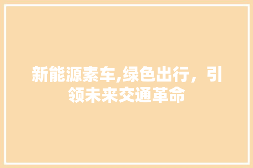 新能源素车,绿色出行，引领未来交通革命