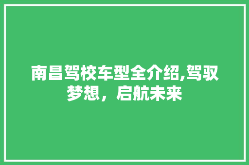 南昌驾校车型全介绍,驾驭梦想，启航未来