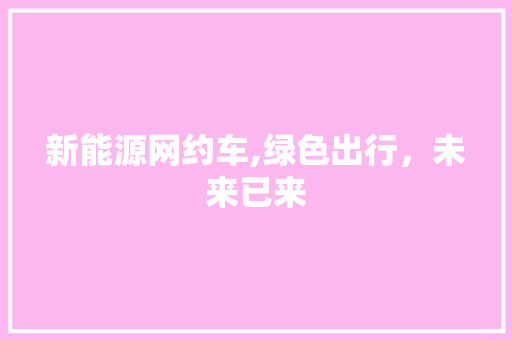 新能源网约车,绿色出行，未来已来