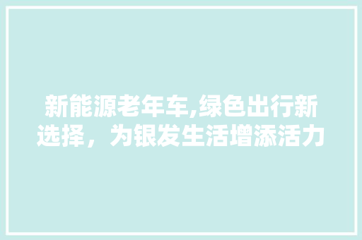 新能源老年车,绿色出行新选择，为银发生活增添活力