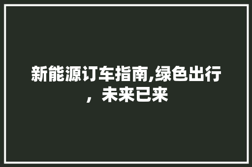 新能源订车指南,绿色出行，未来已来