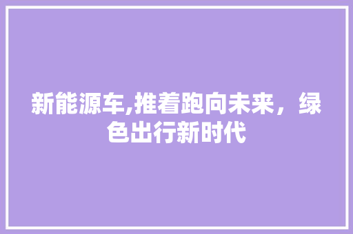 新能源车,推着跑向未来，绿色出行新时代 车身配件
