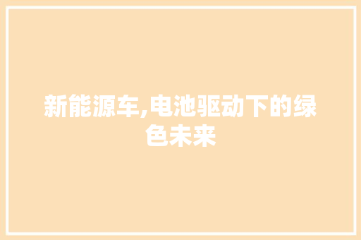 新能源车,电池驱动下的绿色未来