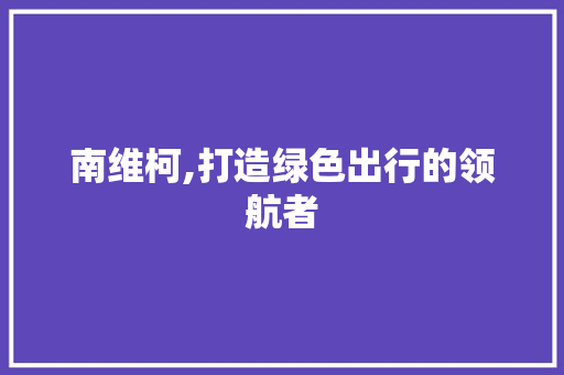 南维柯,打造绿色出行的领航者