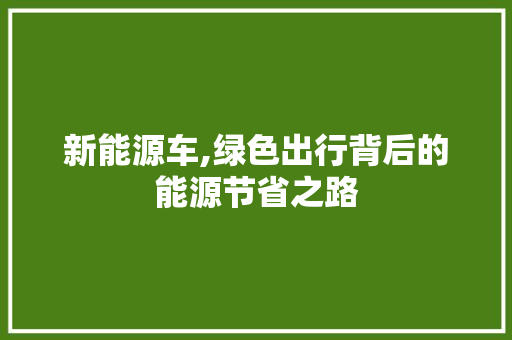 新能源车,绿色出行背后的能源节省之路