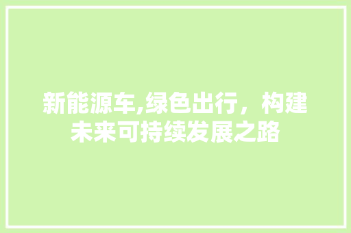 新能源车,绿色出行，构建未来可持续发展之路