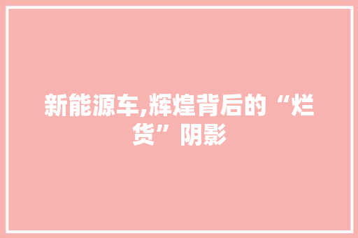 新能源车,辉煌背后的“烂货”阴影