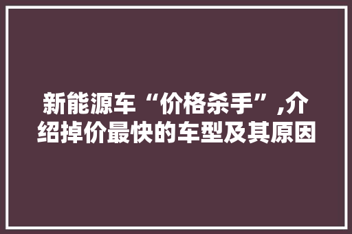 新能源车“价格杀手”,介绍掉价最快的车型及其原因