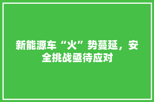 新能源车“火”势蔓延，安全挑战亟待应对