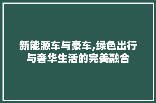 新能源车与豪车,绿色出行与奢华生活的完美融合