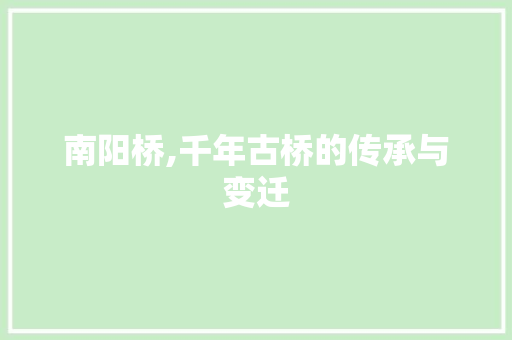 南阳桥,千年古桥的传承与变迁