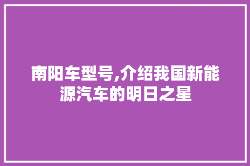 南阳车型号,介绍我国新能源汽车的明日之星